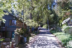 Another woman burglar arrested in Sonoma County