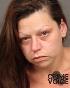 Tonya Michelle Young