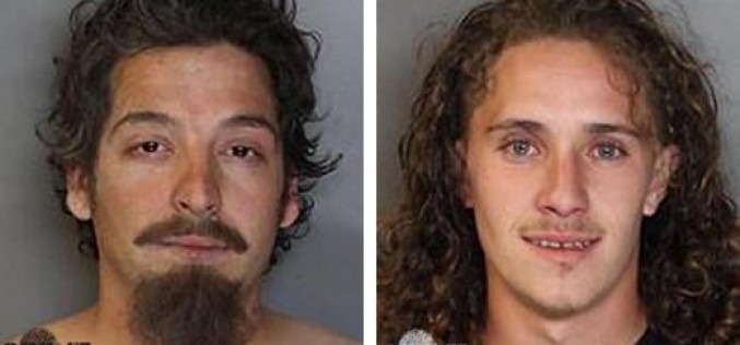 Men Try to Evade Police by Swimming Away