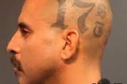 Brazen Duo Unable to Evade Justice