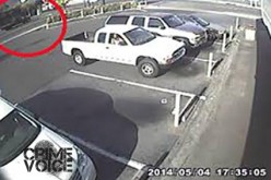 Police May Have Lead in Hit-And-Run Death of Two-Year-Old