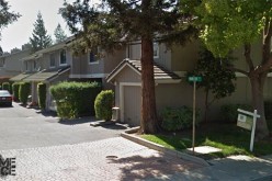 Murder suicide reported day of Cinco de Mayo