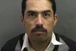 Two People, Two Stolen Cars, Two Arrests