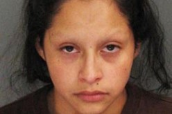 Woman Tries to Bring Gun To Court