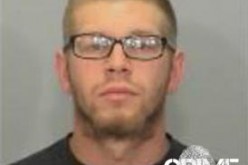 Man Arrested for Steer Burning