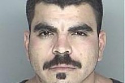 Felon Caught with Drugs & Ammo