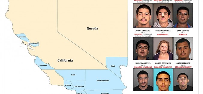 Multi-Million-Dollar Burglary Ring Busted