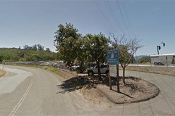 Officer spots car thief in the act