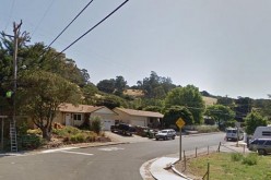 Man brandishes weapon out in public