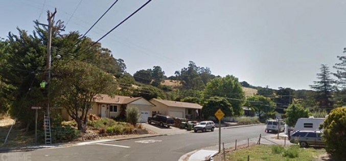 Man brandishes weapon out in public