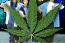 Felon Arrested for Guns, Drugs During Traffic Stop