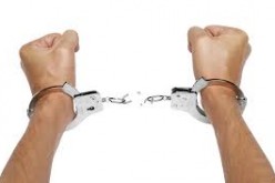 Valley of The Psycho Dolls