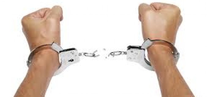 Valley of The Psycho Dolls