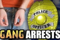 Gang Task Force Sweep Leads to the Arrest of Twelve