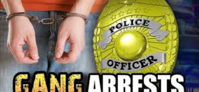 Gang Task Force Sweep Leads to the Arrest of Twelve