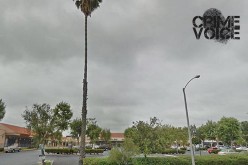 Barfight Ends With $40,000 Bail