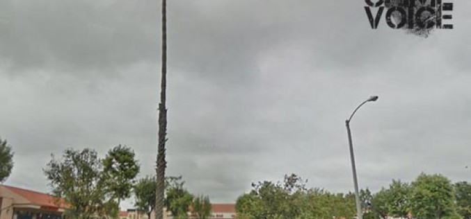 Barfight Ends With $40,000 Bail