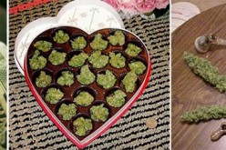 Man arrested for shooting at kids in his yard