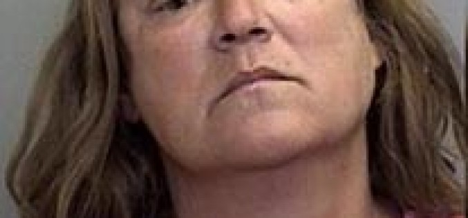 Woman arrested in second domestic violence this year