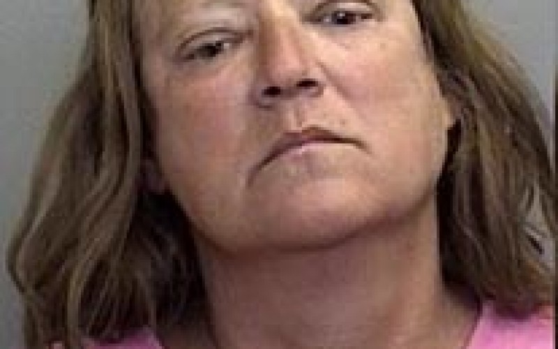 Woman arrested in second domestic violence this year