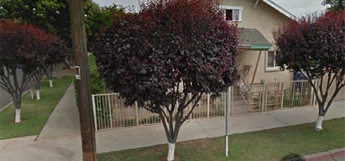 Suspect Killed by Officers After Fight with Brother