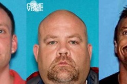 Three Arrested for Stealing Cheesey Minibuses