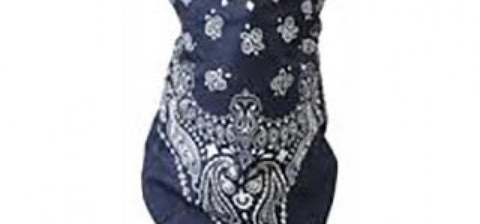 Bandanna Bandit Suspect