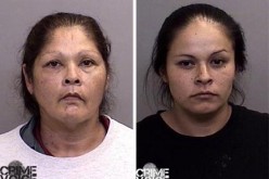 Stewarts Point pair invades Gualala shops