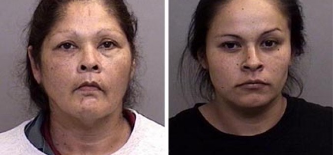 Stewarts Point pair invades Gualala shops