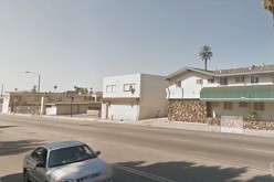 Did Disney Cook Take a Wild Ride?