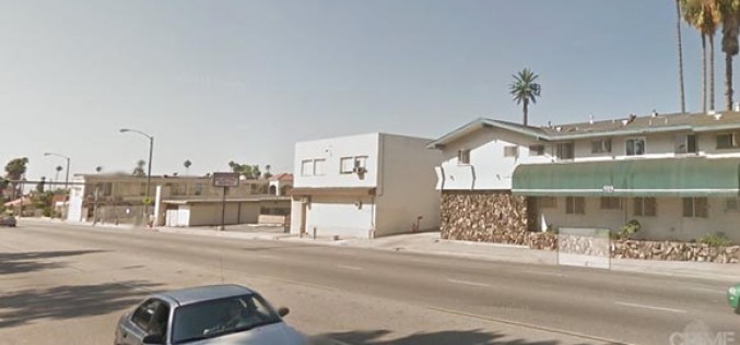 Did Disney Cook Take a Wild Ride?