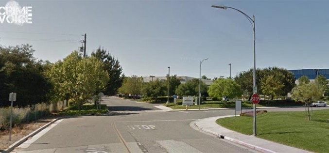 Copper wire thief caught vandalizing city light poles