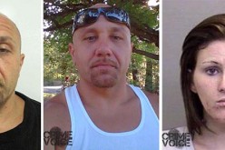 You can’t put one past a well trained dog