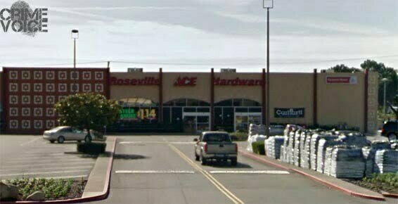 Ace Hardware on Harding