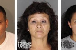 8 Arrested in Drug Sale and Identity Theft Sting