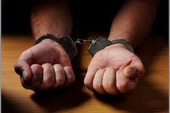 Parole & Probation Net Nabs 22