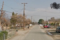 Farm Thieves Arrested in Lamont