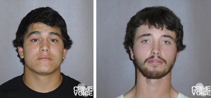 Citizen’s Tip Proves Fruitful