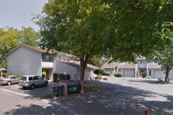 Domestic Violence May Have Escalated Into Wife’s Alleged Murder of Husband