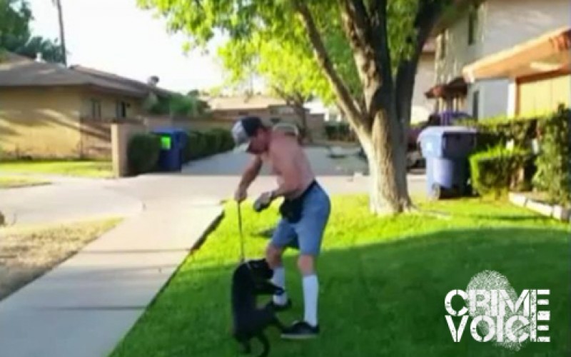Alert Neighbor Films Dog-Abuser