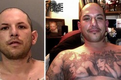 Wanted man captured with K9 help