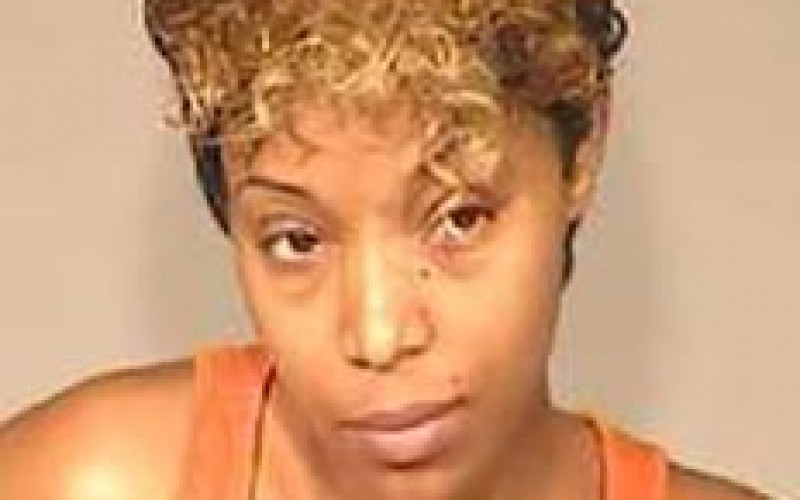 Argument About Pets Leads to Fatal Stabbing