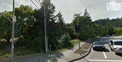 Robinson tired to hide in thick vegetation, likley near here at Brush Creek Road.