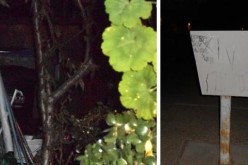 A 9-1-1 disturbance call turns into a game of cat and mouse