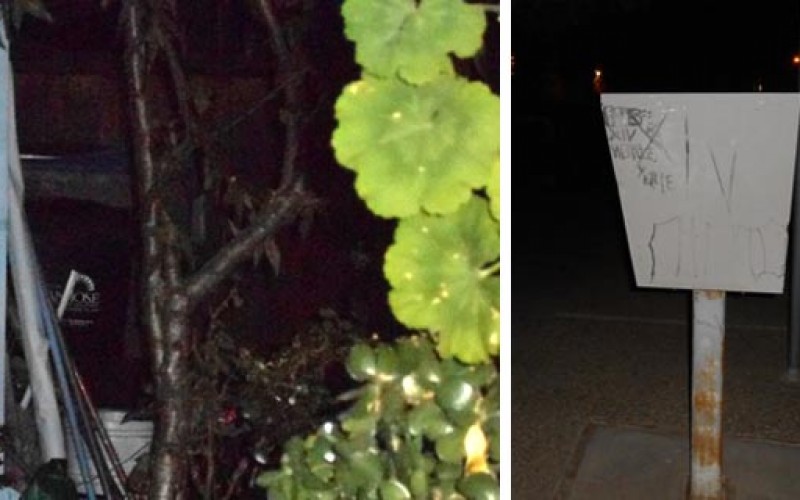 A 9-1-1 disturbance call turns into a game of cat and mouse