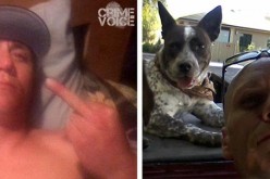 Look out copper, here comes Hampsten