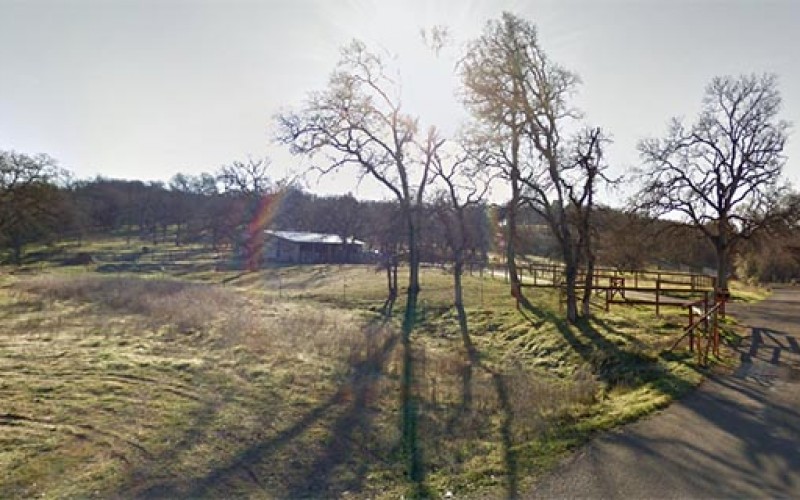 Diabolical man exacts revenge on woman and her dog