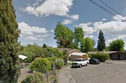 Man chasing marijuana burglars gets shot, police arrest one