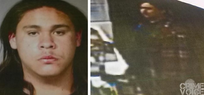 Gang member attacks patrons at McDonalds