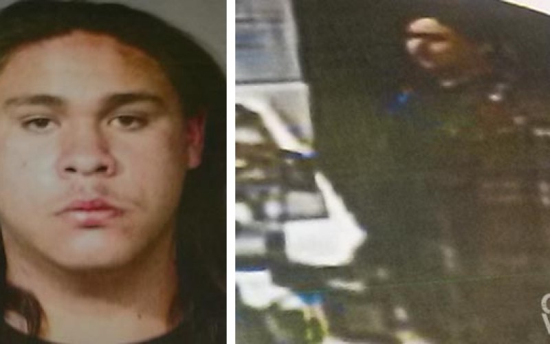 Gang member attacks patrons at McDonalds